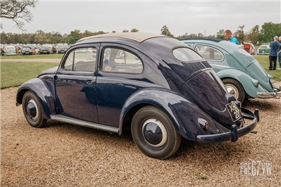 Oval Beetle at Stanford Hall 08 - IMG_5082.jpg