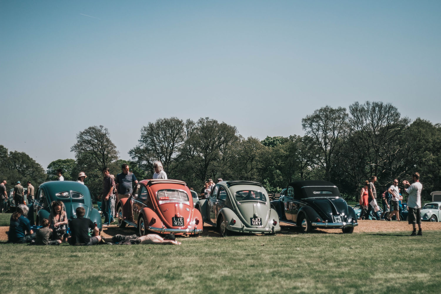 VWs at Stanford Hall 2018