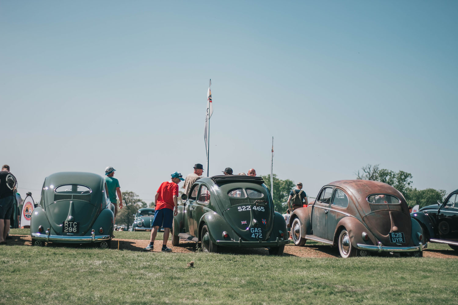 Beetles at Stanford Hall 2018