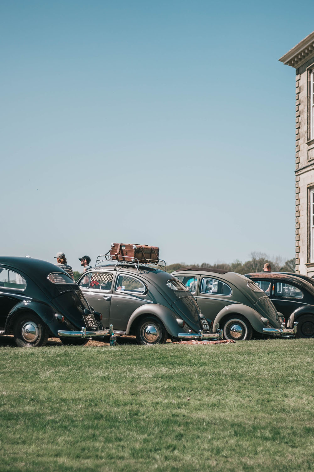 Beetles at Stanford Hall 2018