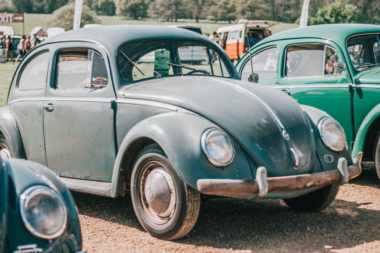 Oval Beetle at Stanford Hall 2018