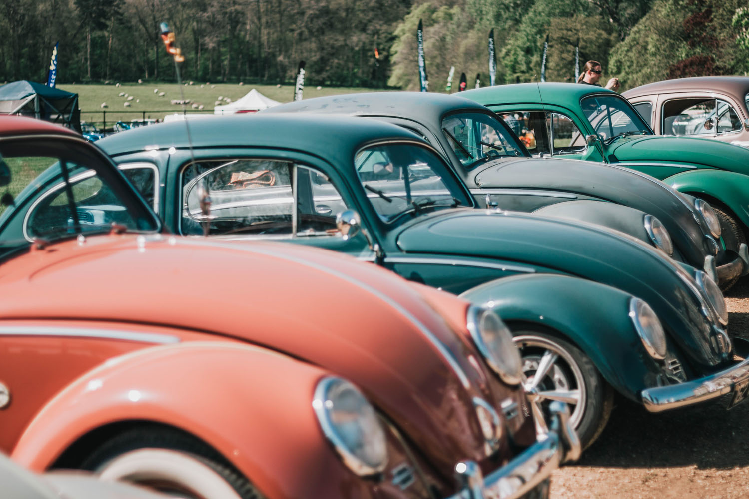 VWs at Stanford Hall 2018