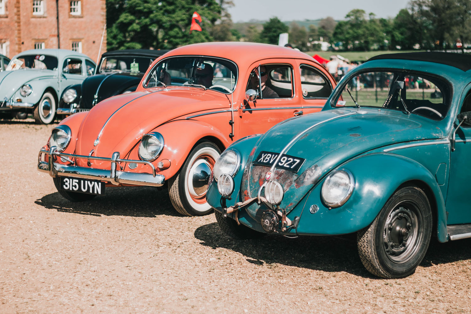 Beetles at Stanford Hall 2018