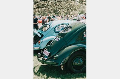 Military Police Beetle at Stanford Hall 2018 - IMG_7423.jpg