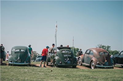 Beetles at Stanford Hall 2018 - IMG_7497.jpg