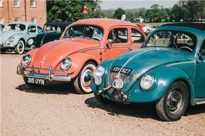 Beetles at Stanford Hall 2018 - IMG_7553.jpg