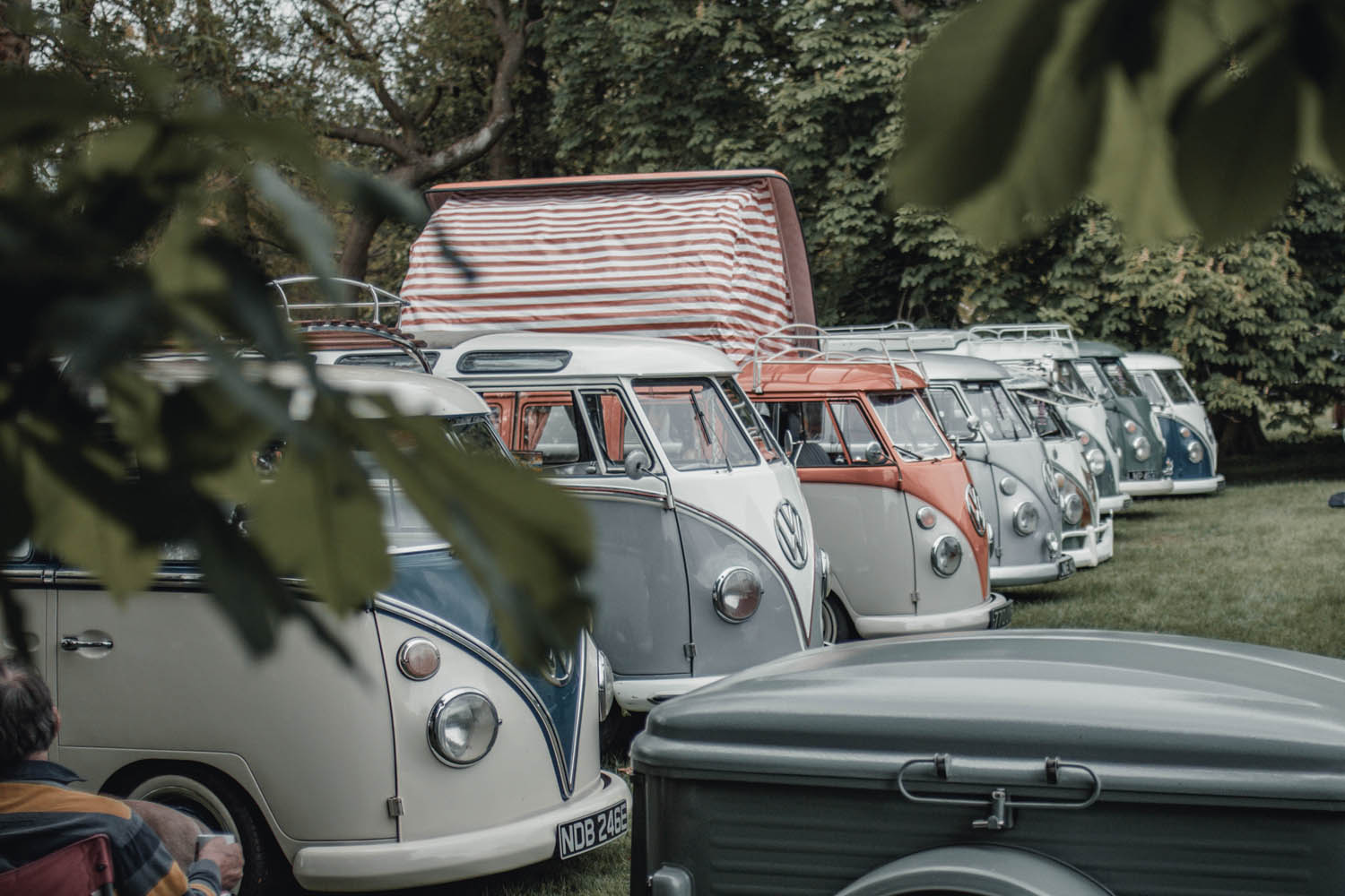 Split Window Buses at Stanford Hall 2019