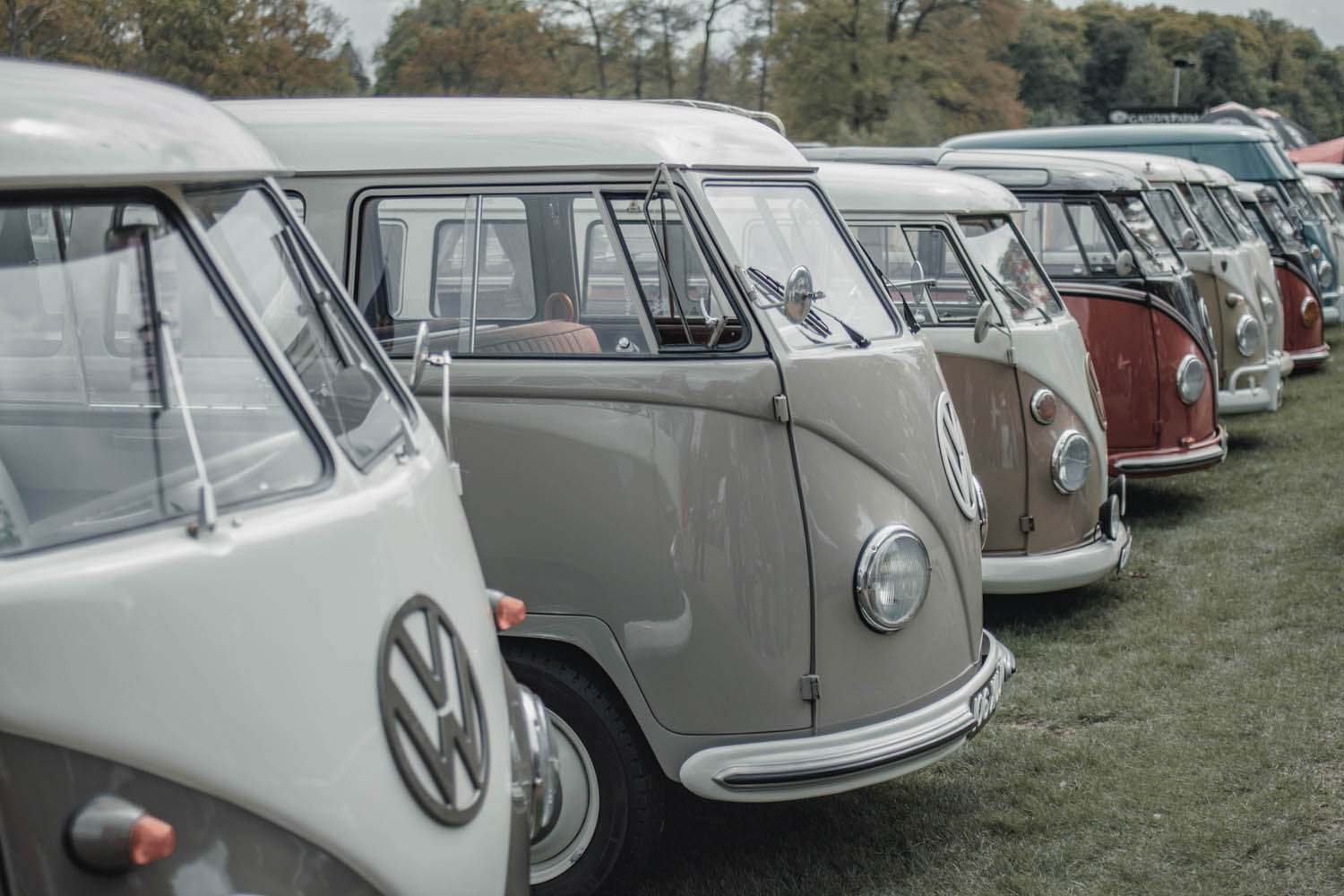 Split Window Buses at Stanford Hall 2019