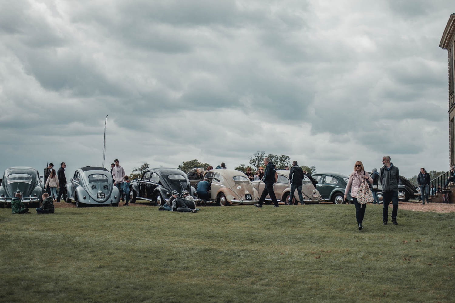 Oval Window Beetles at Stanford Hall 2019