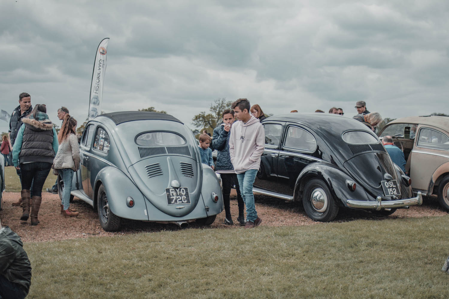 Oval Window Beetles at Stanford Hall 2019