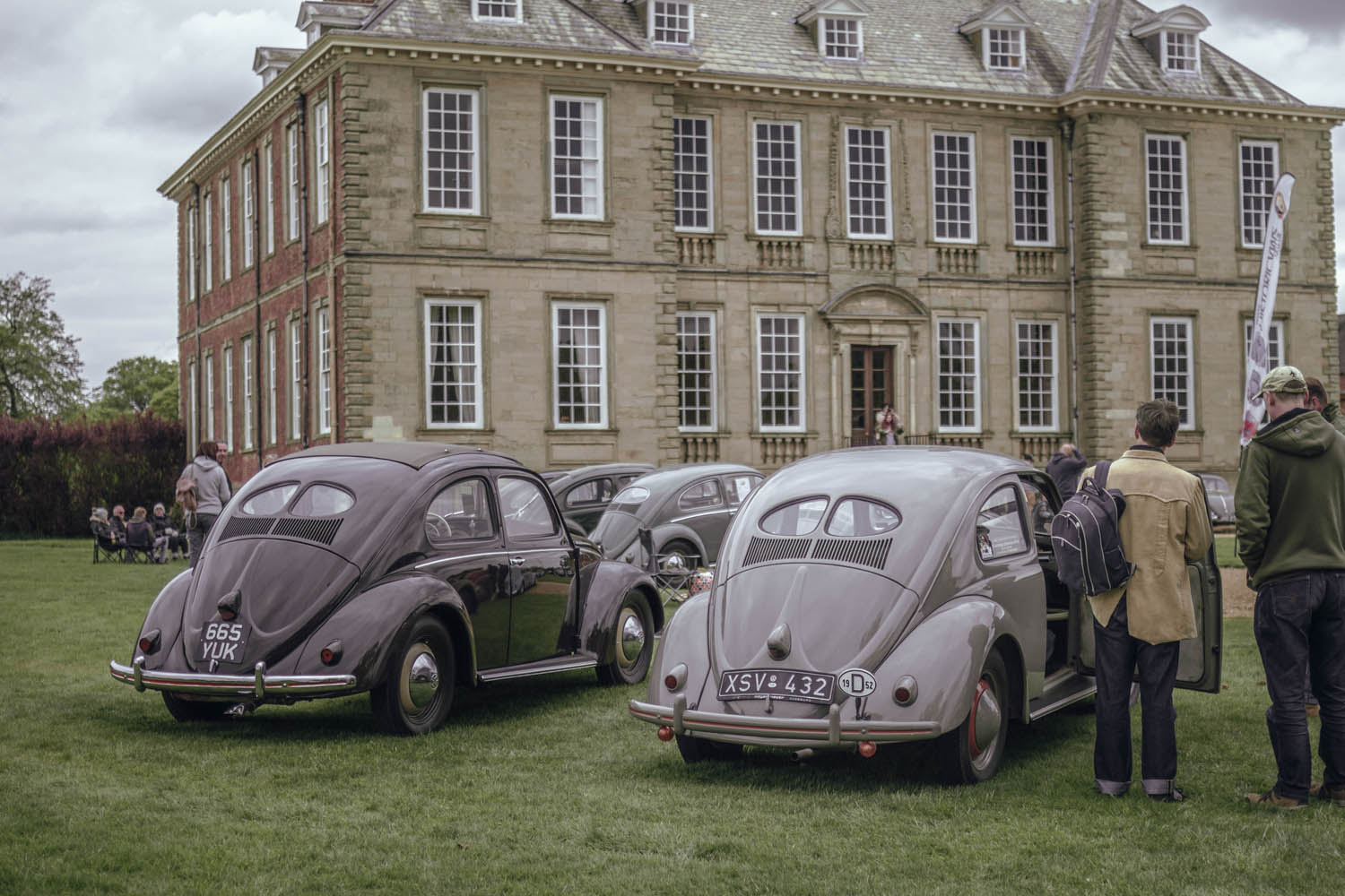 Split Window Beetles at Stanford Hall 2019