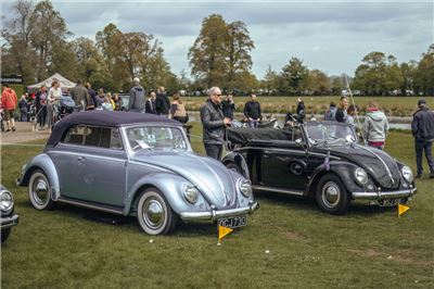 Oval Karmann Cabrios at Stanford Hall 2019 - IMG_9910.jpg