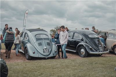 Oval Window Beetles at Stanford Hall 2019 - IMG_9954.jpg