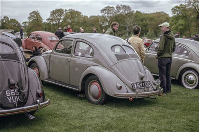 1952 Split Window Beetle at Stanford Hall 2019 - IMG_9995.jpg