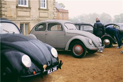 Standard Beetles at Stanford Hall 2022 - WhatsApp Image 2022-05-10 at 10.58.35 PM.jpeg