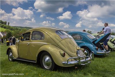 Stonor Park 2014 - IMG_0845.jpg