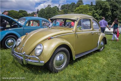Stonor Park 2014 - IMG_0847.jpg