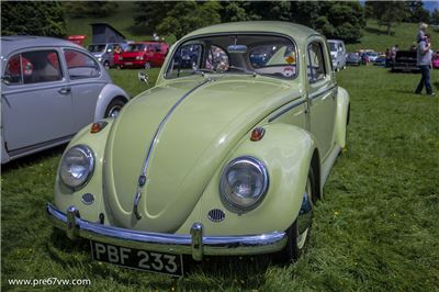 Stonor Park 2014 - IMG_0854.jpg