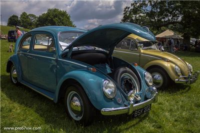 Stonor Park 2014 - IMG_0855.jpg