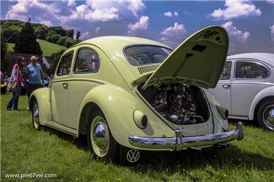 Stonor Park 2014 - IMG_0856.jpg