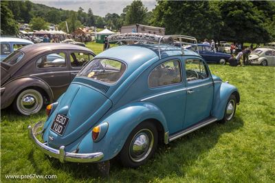 Stonor Park 2014 - IMG_0867.jpg