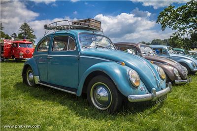 Stonor Park 2014 - IMG_0870.jpg