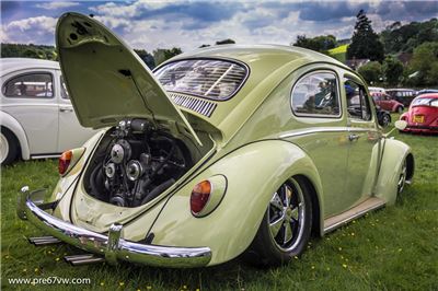 Stonor Park 2014 - IMG_0892.jpg