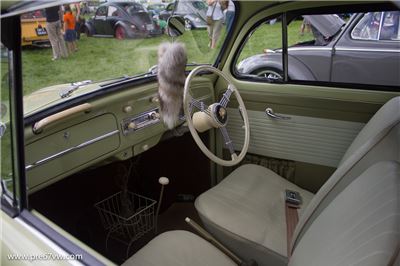 Stonor Park 2014 - IMG_0894.jpg