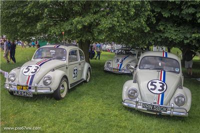 Stonor Park 2014 - IMG_0908.jpg