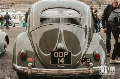 Oval window Beetle at Volksworld 2023 - IMG_3681.jpg