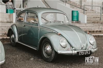 Oval window Beetle at Volksworld 2023 - IMG_3686.jpg